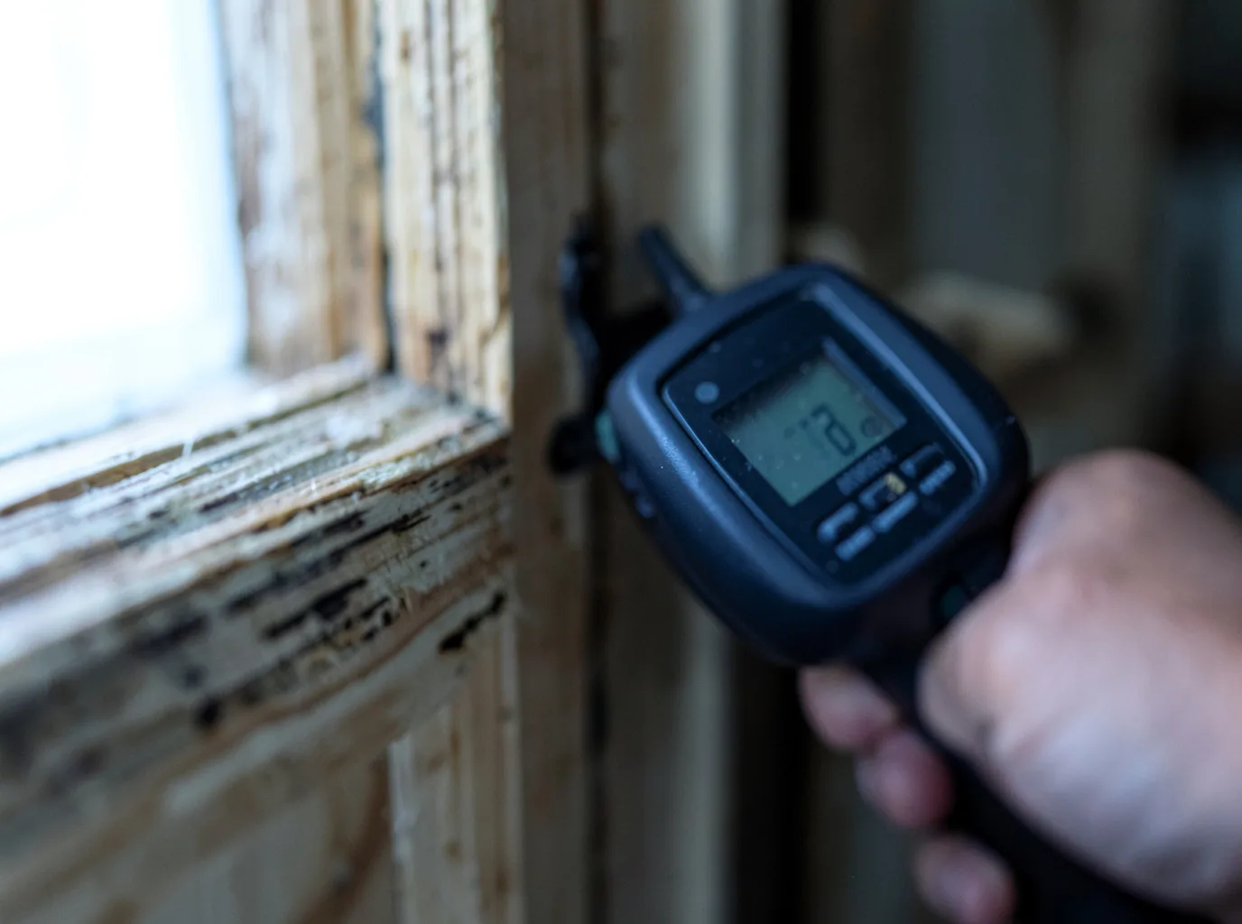 Moisture Inspection And Documentation in Robinson, ND